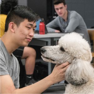 Student petting white poodle