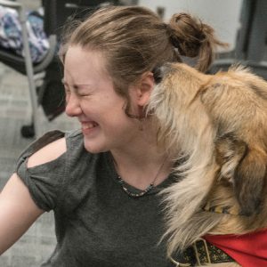 Therapy dog sniffing face of student