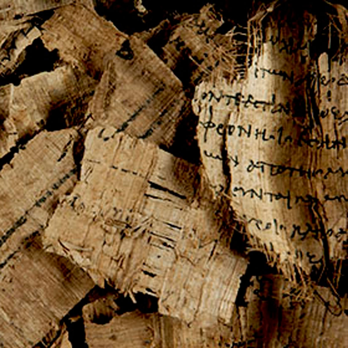 fragments of papyrus with visible text